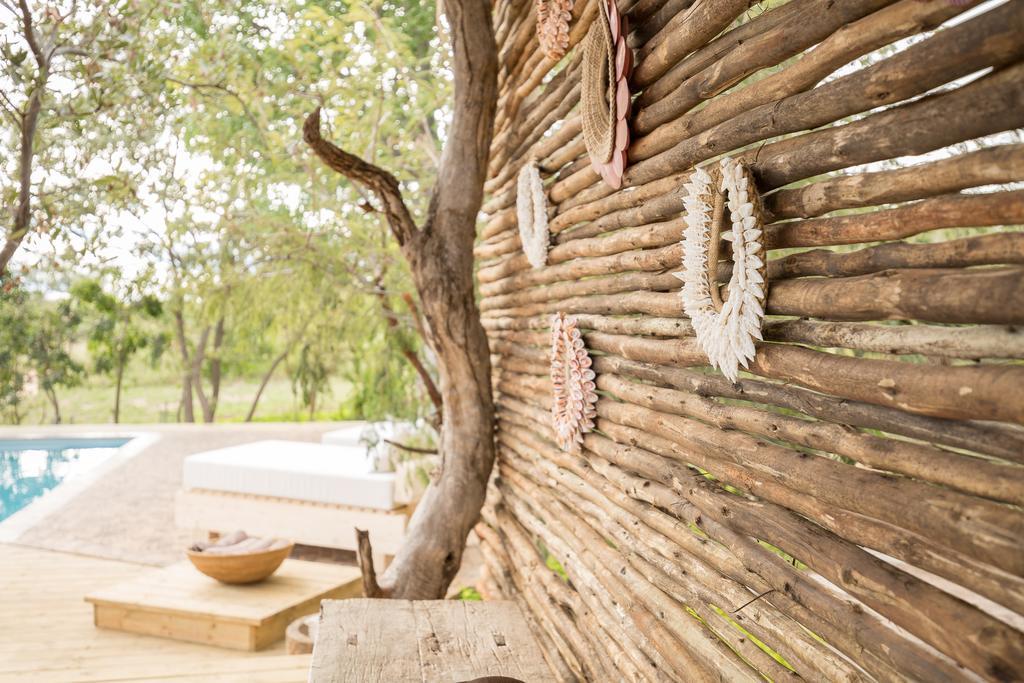 فيلا Baobab Ridge محمية كلاسيري الطبيعية الخاصة المظهر الخارجي الصورة