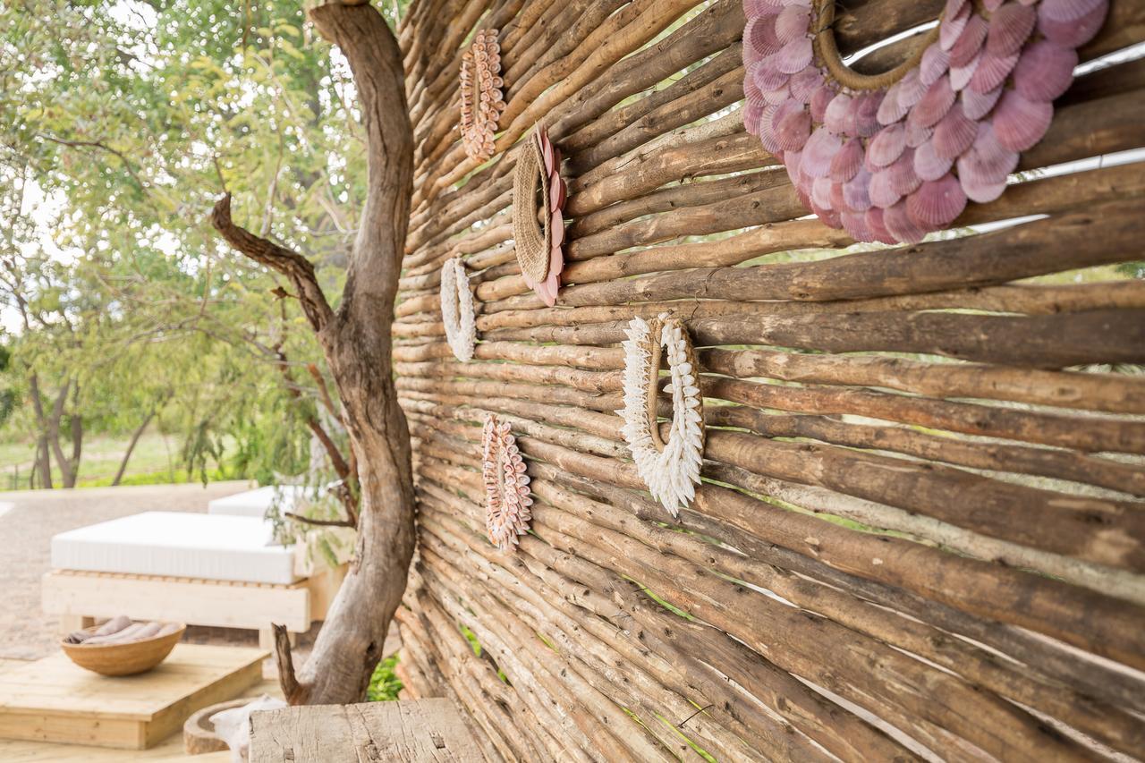 فيلا Baobab Ridge محمية كلاسيري الطبيعية الخاصة المظهر الخارجي الصورة